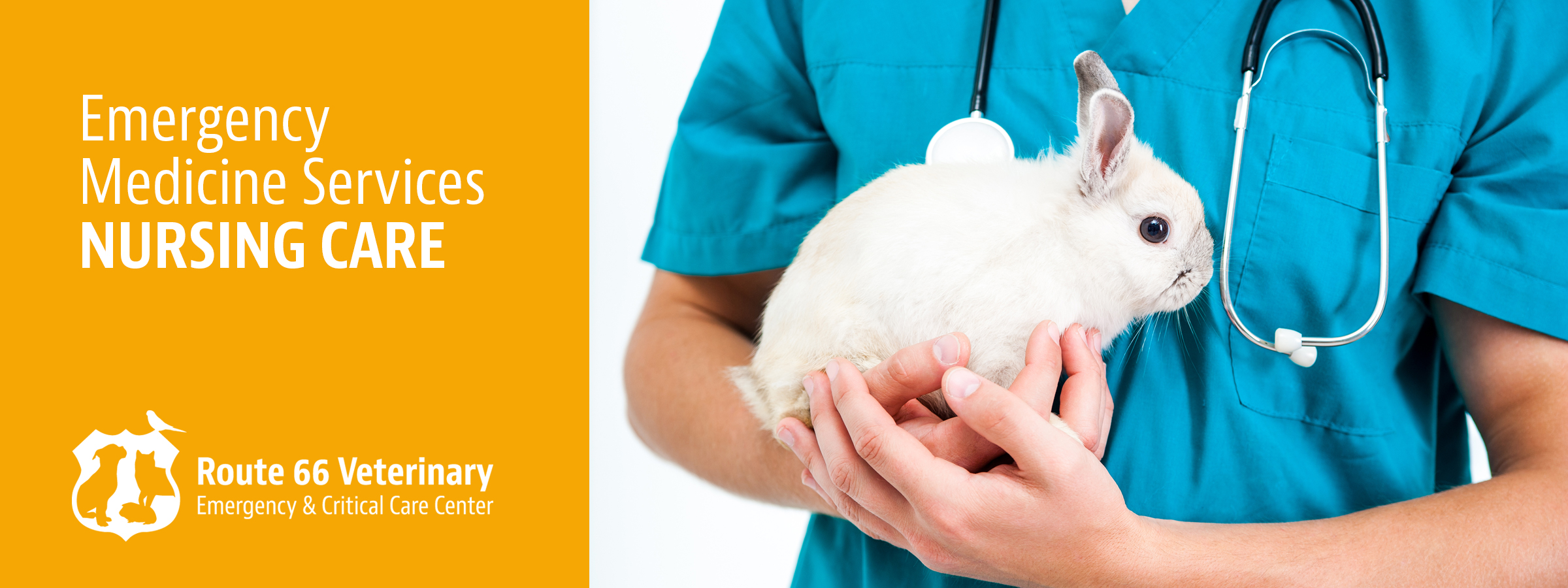 Nursing Care Route 66 Veterinary Emergency & Critical Care Center