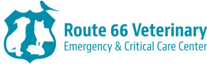 Route 66 Veterinary Emergency & Critical Care Center