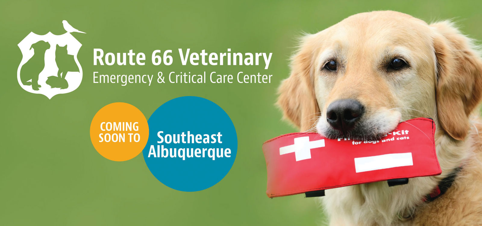 opening-in-early-2016 - Route 66 Veterinary Emergency & Critical Care ...