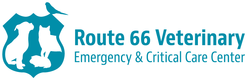 Route 66 Veterinary